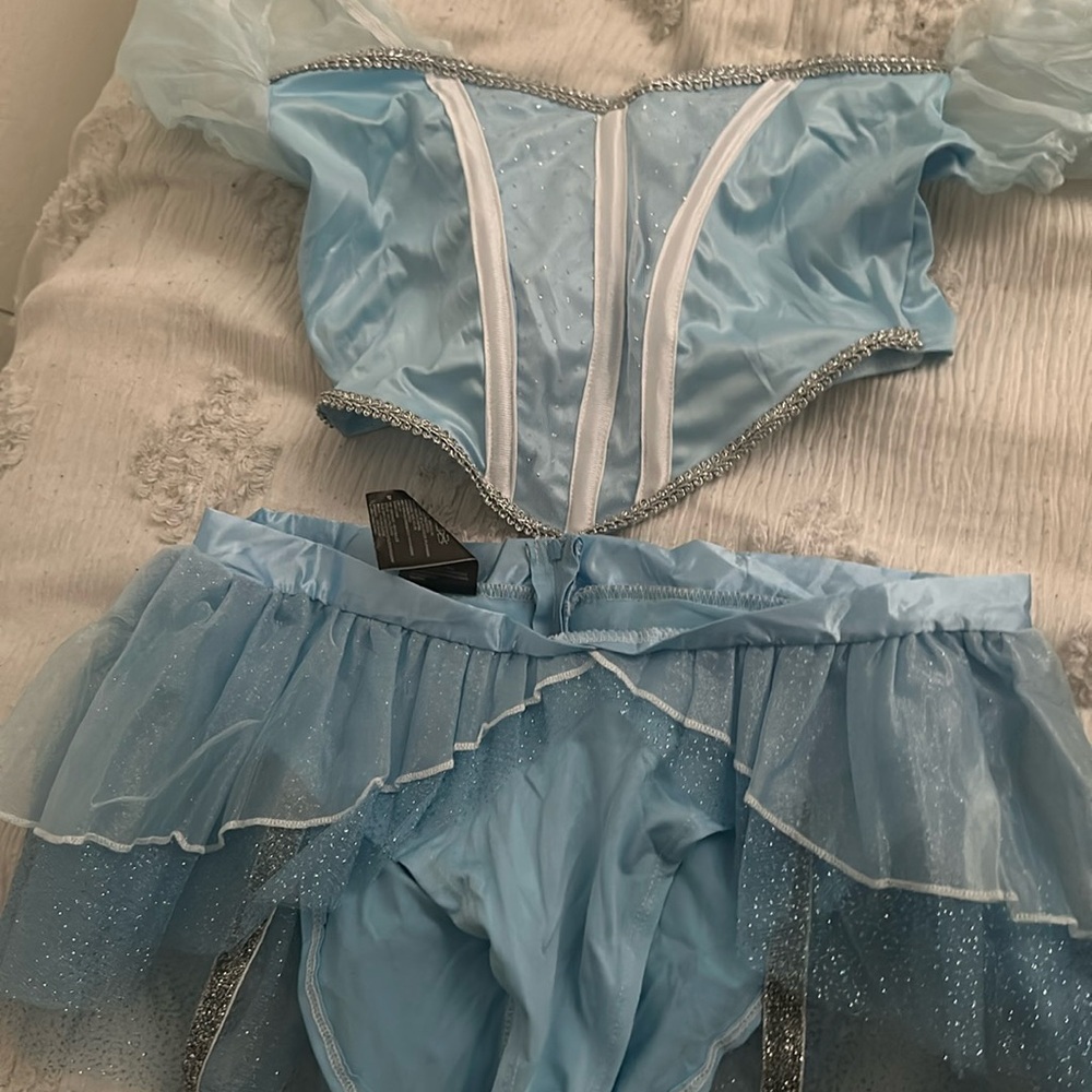 Size L Cinderella adult costume